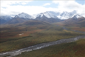 Denali NP